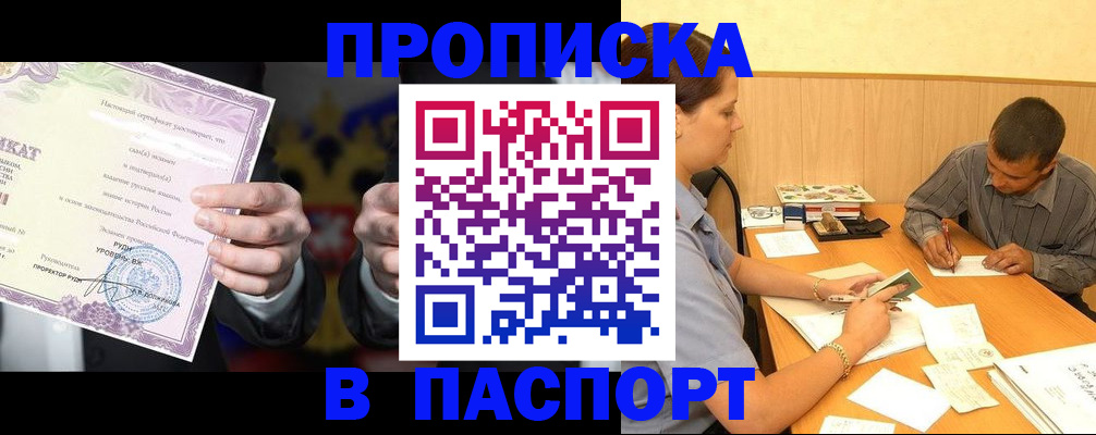 где прописаться в Шали